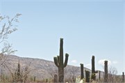 Tucson 2565